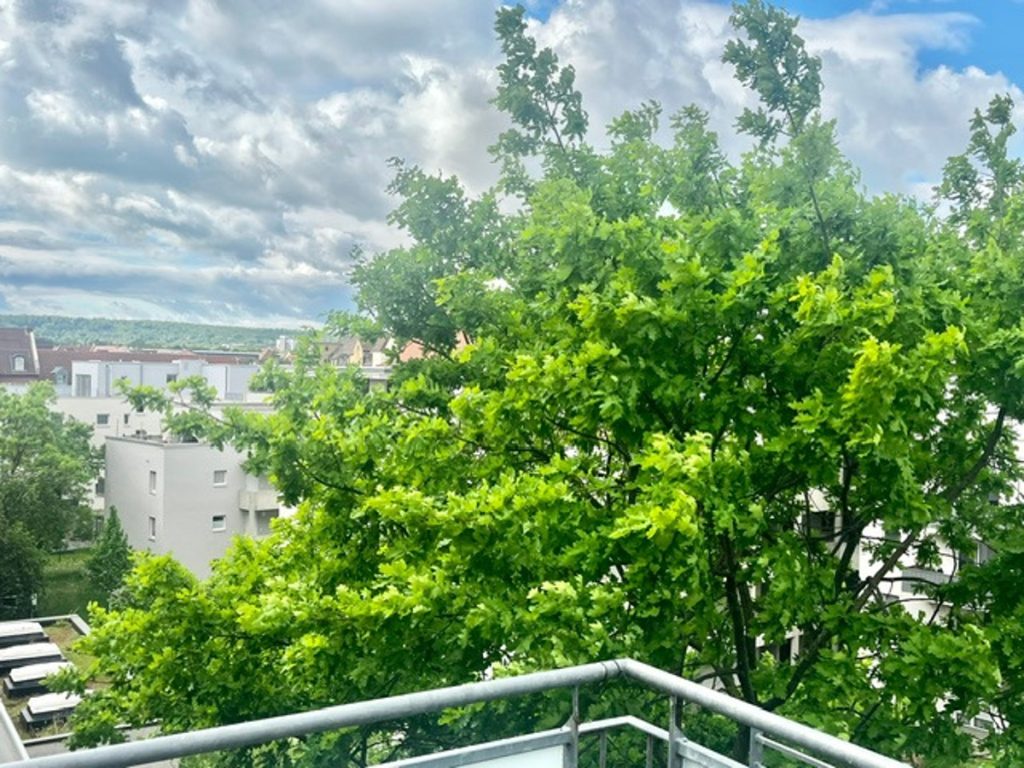 Ausblick