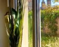 Ausblick